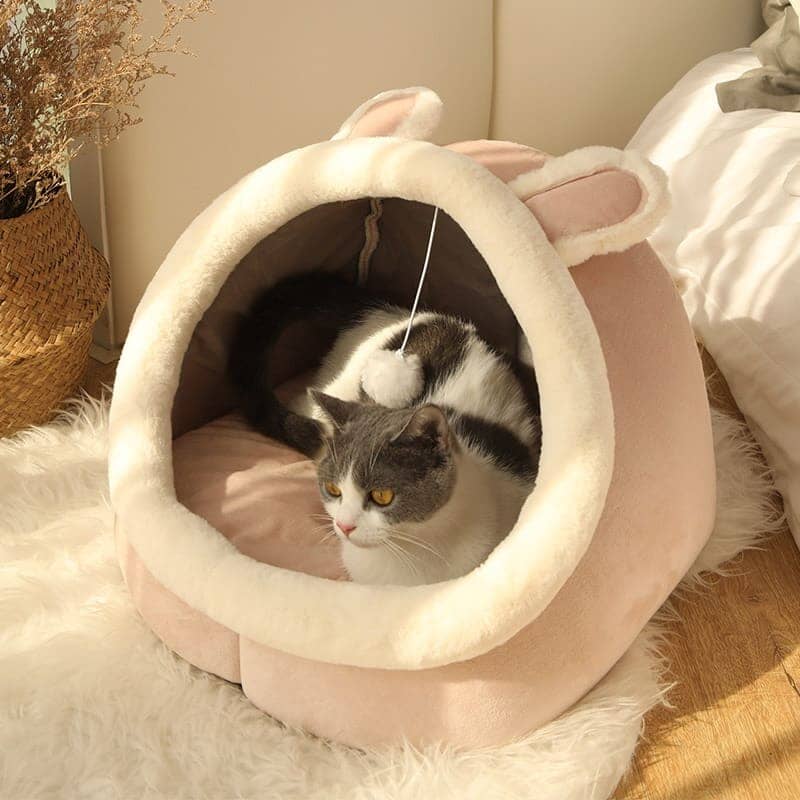 Cama Nuvem para Cats